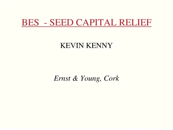 bes - seed capital relief