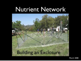 nutrient network