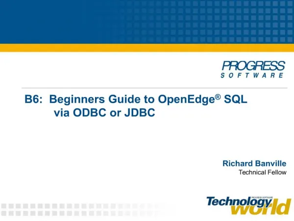 b6: beginners guide to openedge