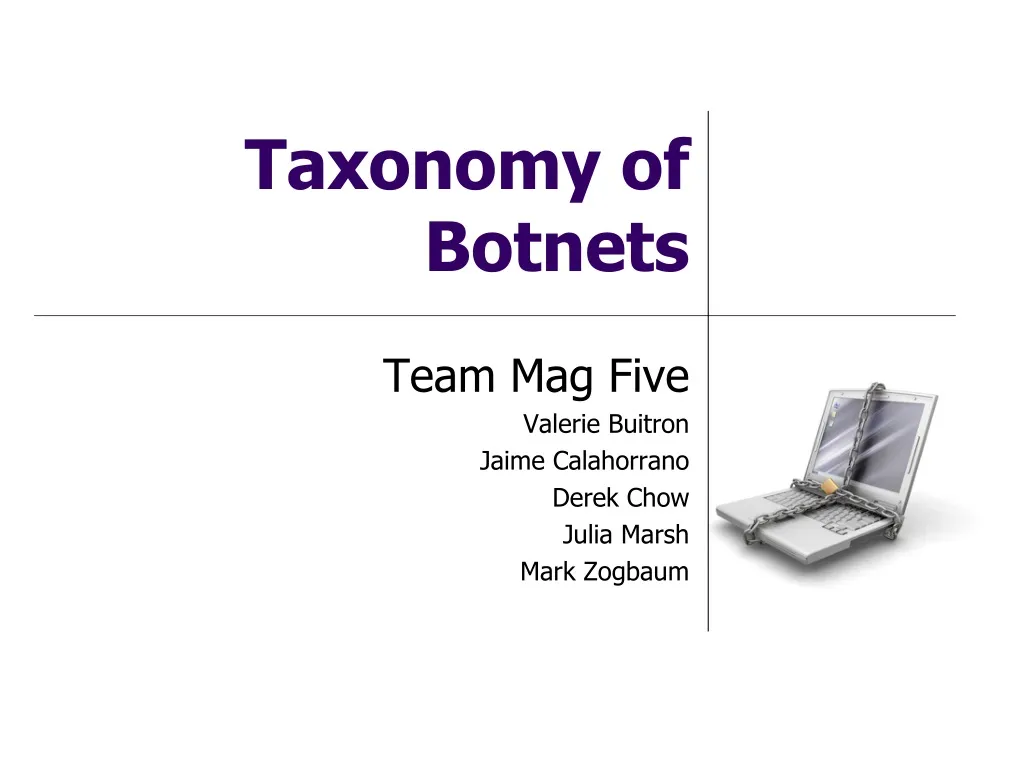 taxonomy of botnets