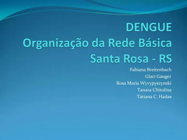 DENGUE Organiza o da Rede B sica Santa Rosa - RS