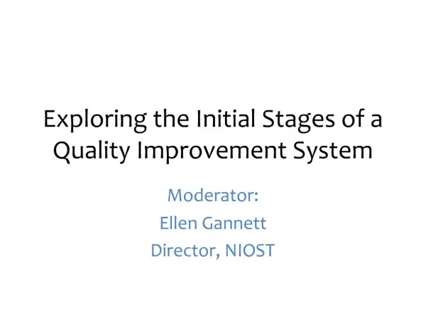 Exploring the Initial Stages of a Quality Improvement System