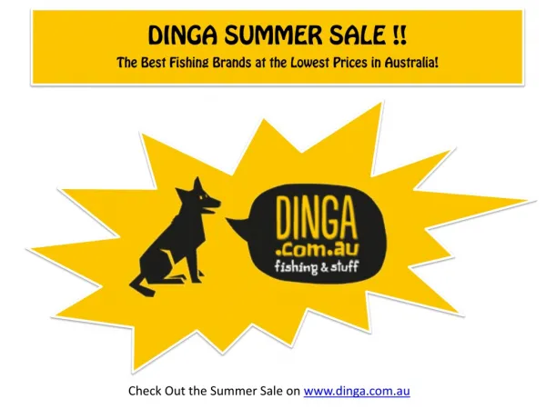 Summer Sale is Now on at Dinga Fishing! (Part-3)