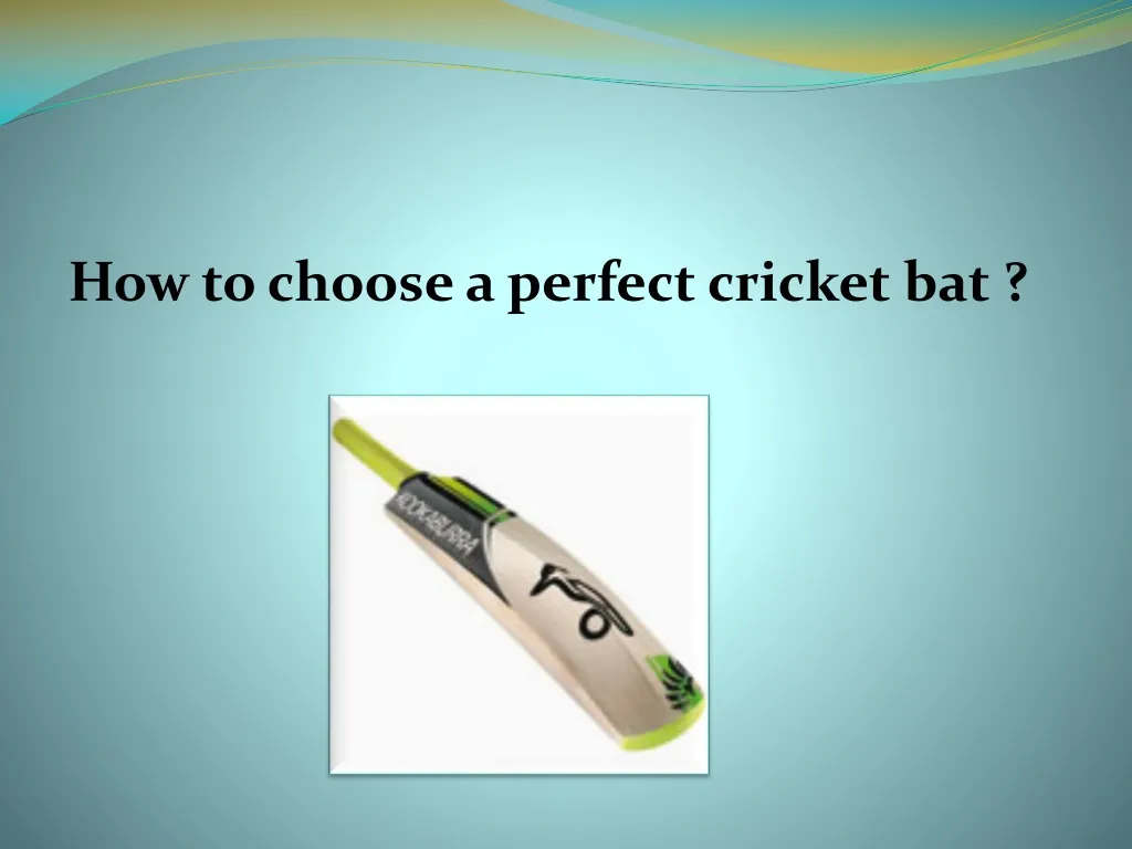 how to choose a perfect cricket bat