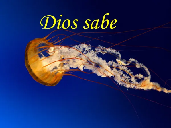 Dios