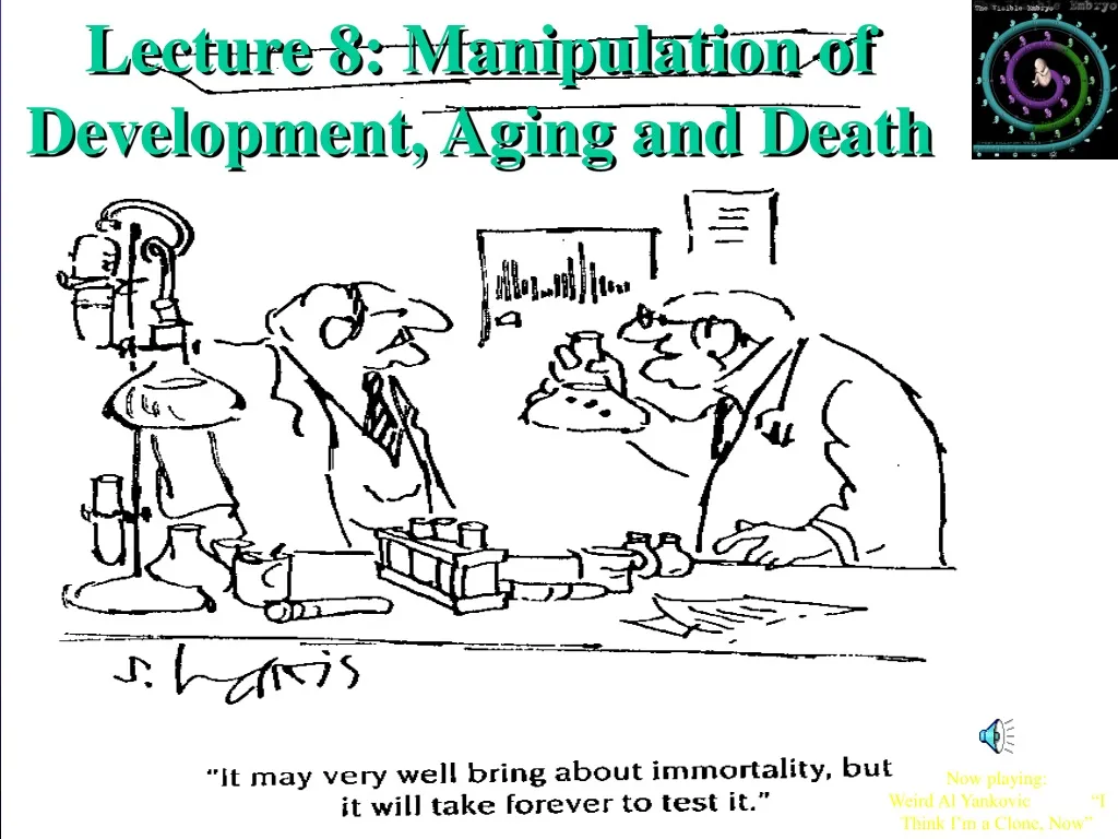 lecture 8 manipulation of development aging