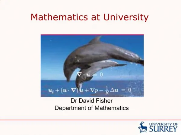 Mathematics at University
