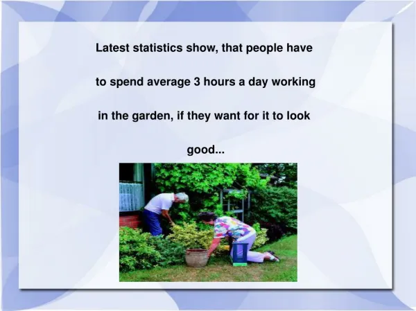 Expert Gardening in Sydney