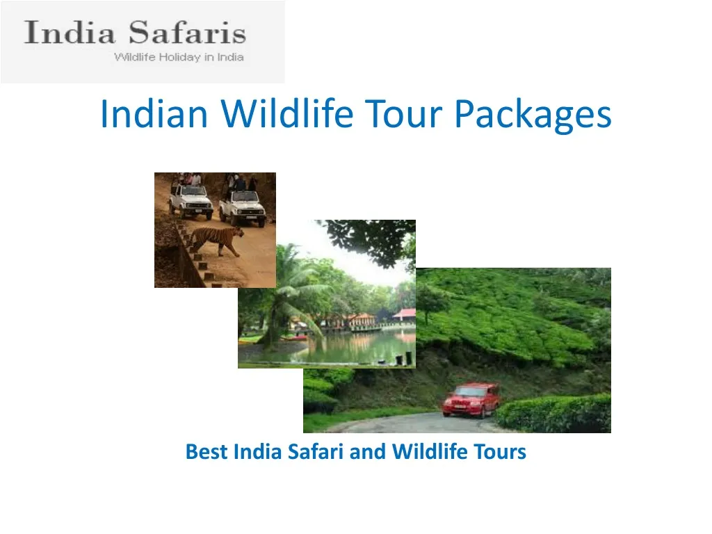 indian wildlife tour packages