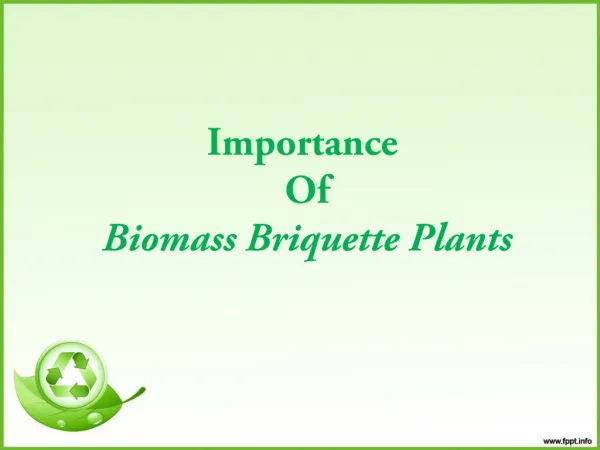 Importance Of Biomass Briquetting Plant