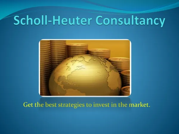 Scholl-Heuter Consultancy