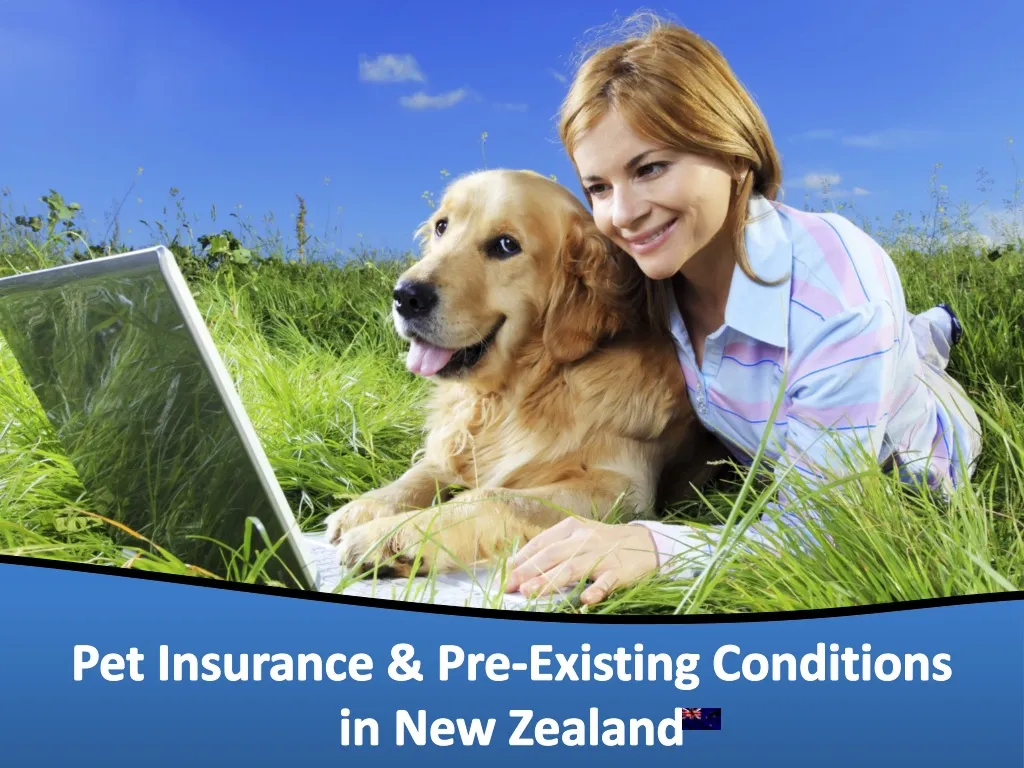 pet insurance pre existing conditions in new zealand