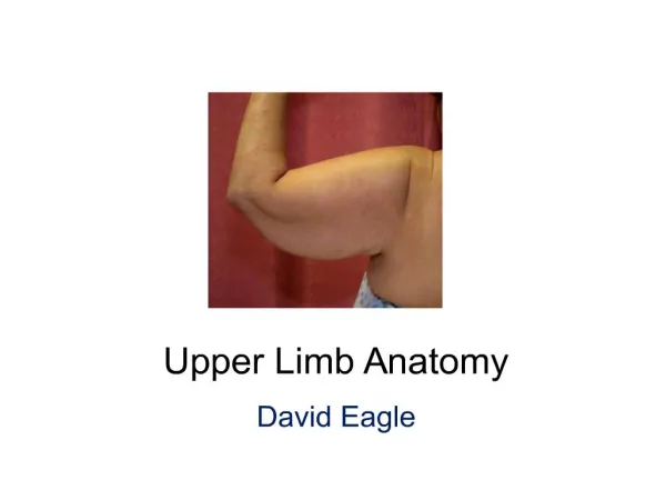 upper limb anatomy
