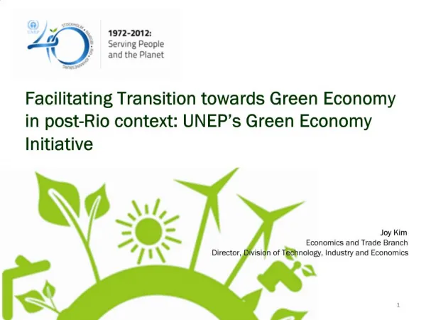 Facilitating Transition towards Green Economy in post-Rio context: UNEP s Green Economy Initiative