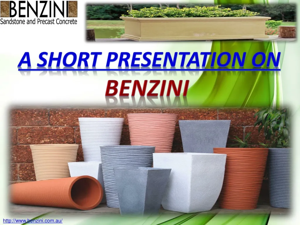 a short presentation on benzini