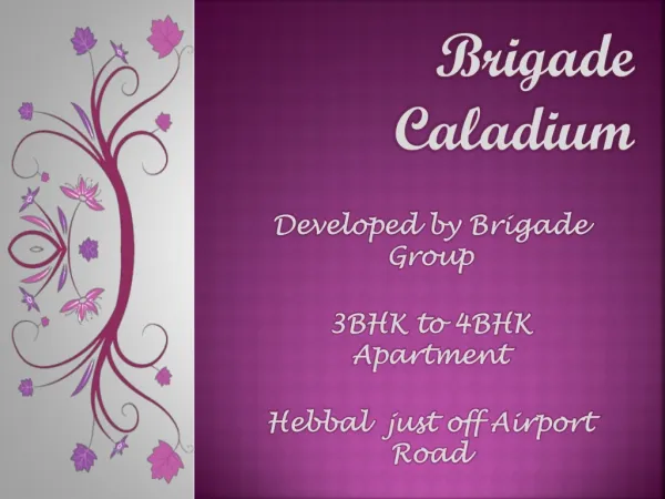 09999684905 Brigade Caladium Bangalore