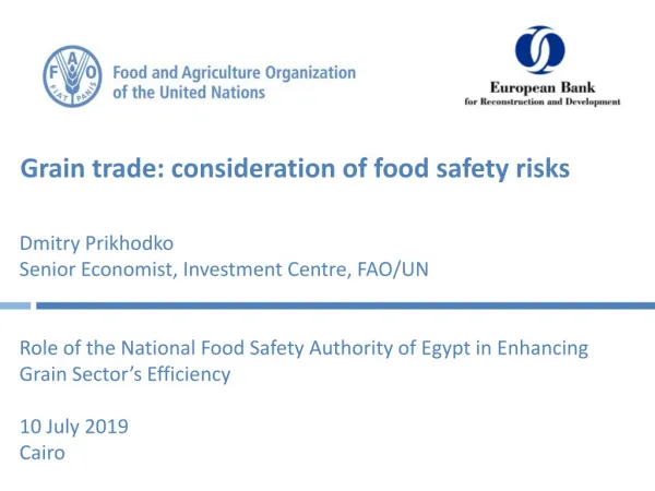 Grain trade: consideration of food safety risks