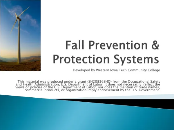 Fall Prevention &amp; Protection Systems