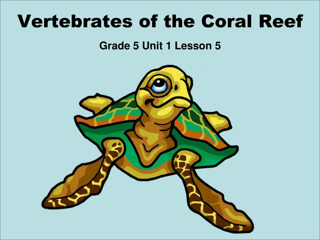 vertebrates of the coral reef