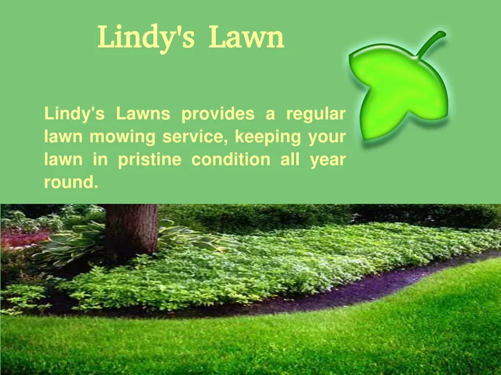 lindy s lawn