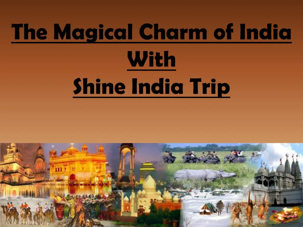 the magical charm of india with shine india trip