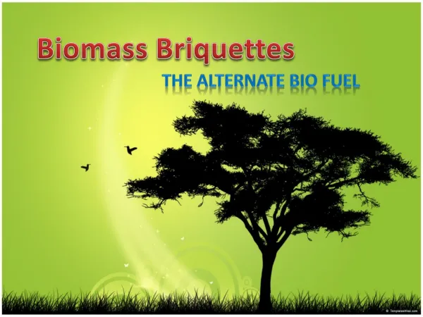 Biomass Briquettes - The Alternate Bio Fuel