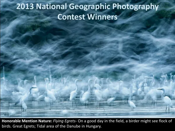 2013 National Geographic Photography Contest Winners