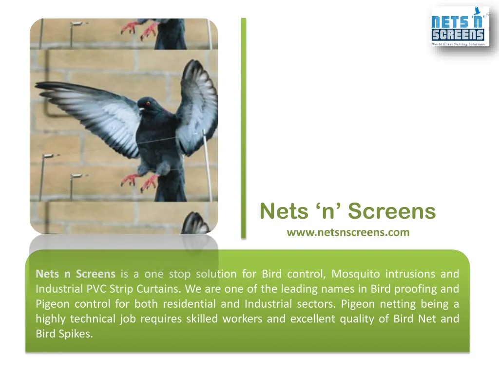 nets n screens