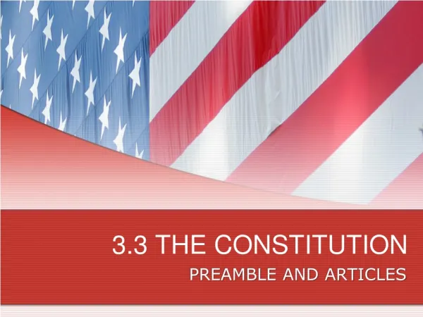 3.3 THE CONSTITUTION