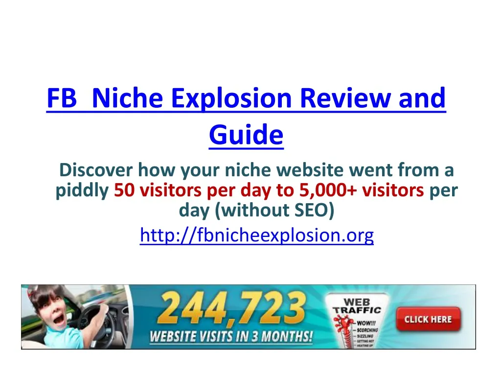 fb niche explosion review and guide