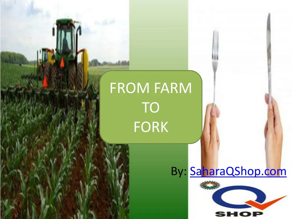 from farm to fork