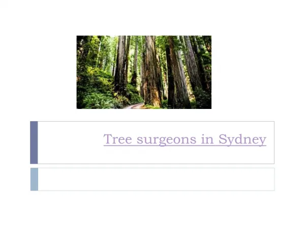 Sydney tree services