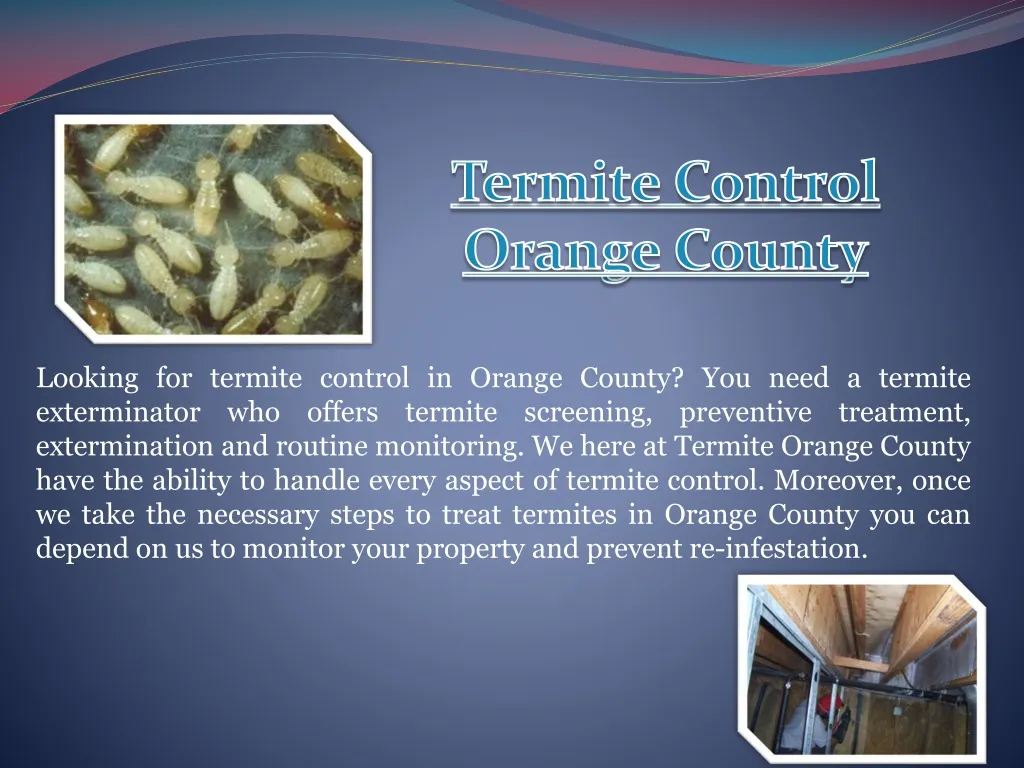 termite control orange county