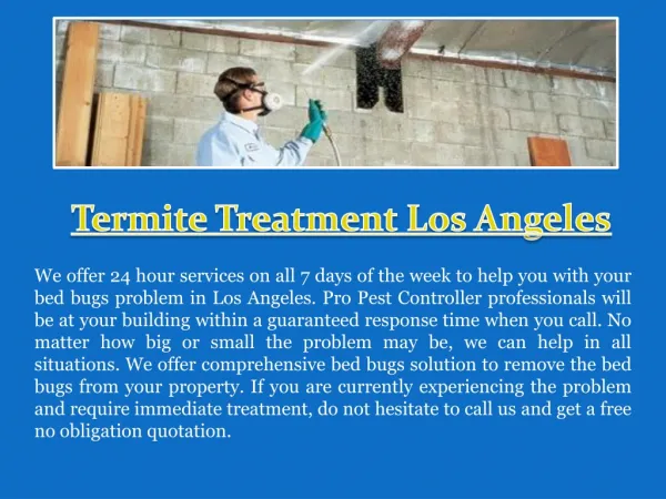 Termite Control Los Angeles