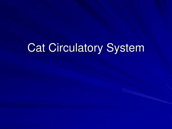 Cat Circulatory System