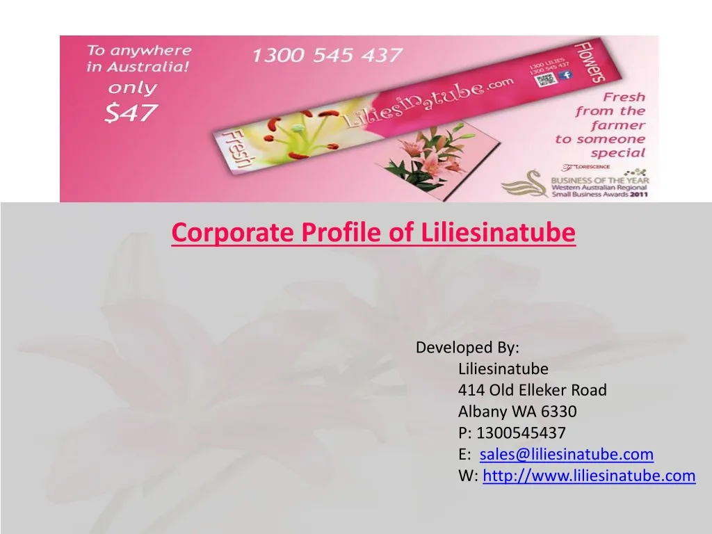 corporate profile of liliesinatube