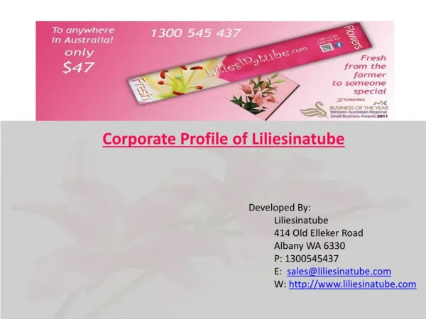 Corporate Profile of Lilies-in-a-tube