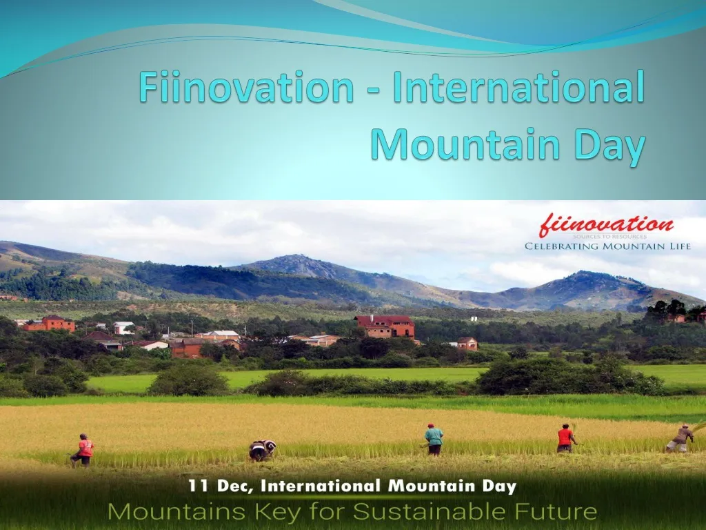 fiinovation international mountain day