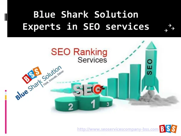 Blue Shark Solution – Experts in SEO services