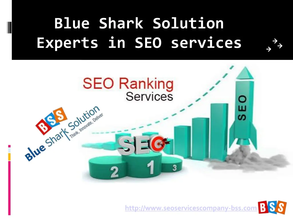 blue shark solution experts in seo services