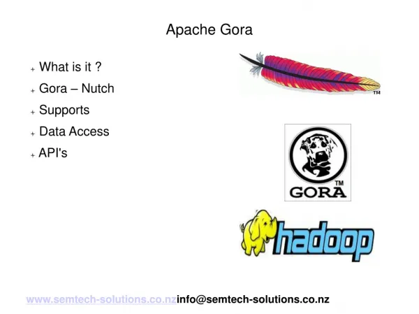 An introduction to Apache Gora