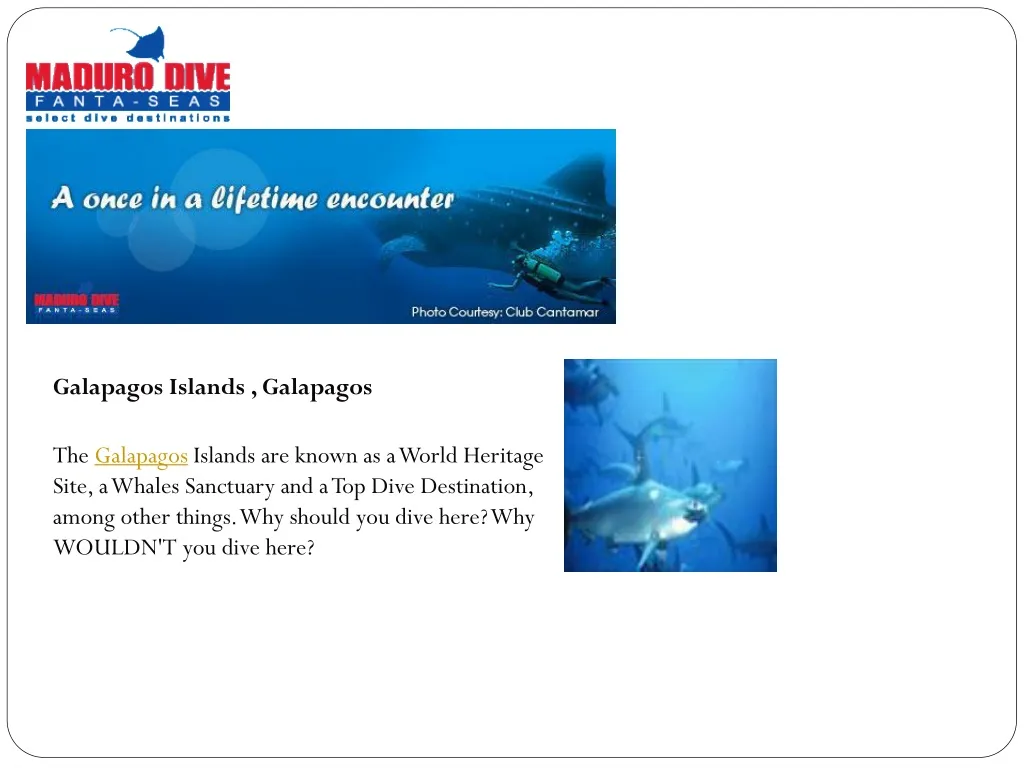 galapagos islands galapagos