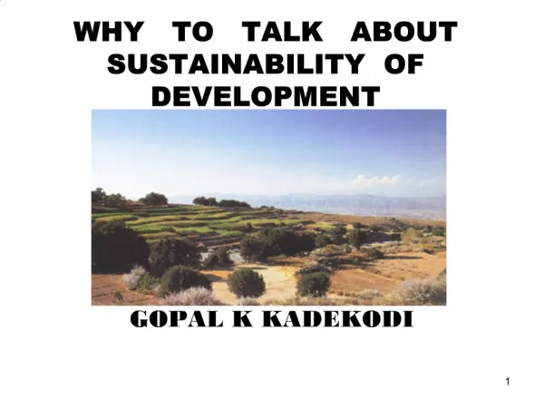WHY TO TALK ABOUT SUSTAINABILITY OF DEVELOPMENT