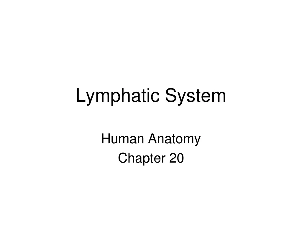 lymphatic system