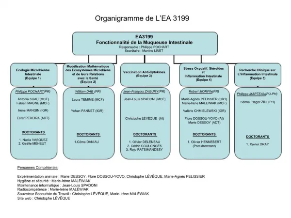 Organigramme de L EA 3199