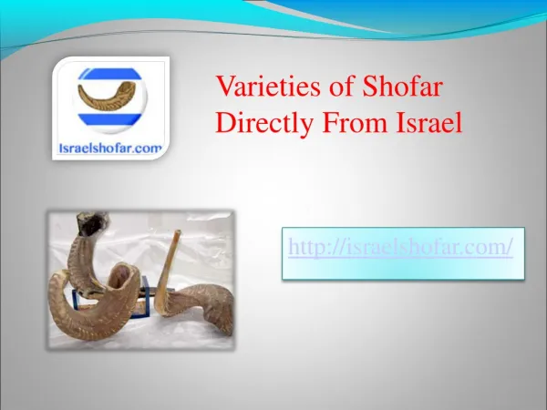 Varieties of Shofar Directly From Israel
