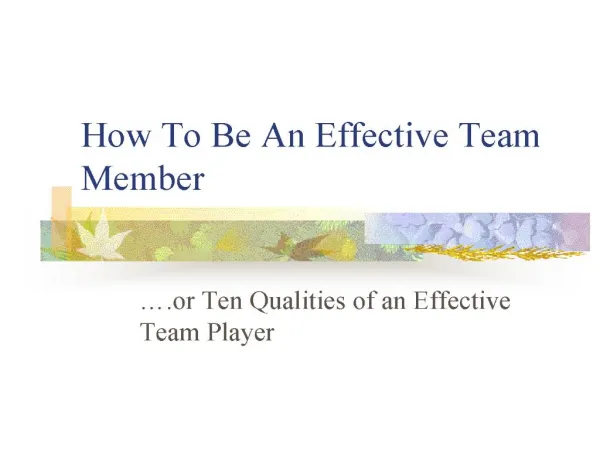 how to be an effective team member