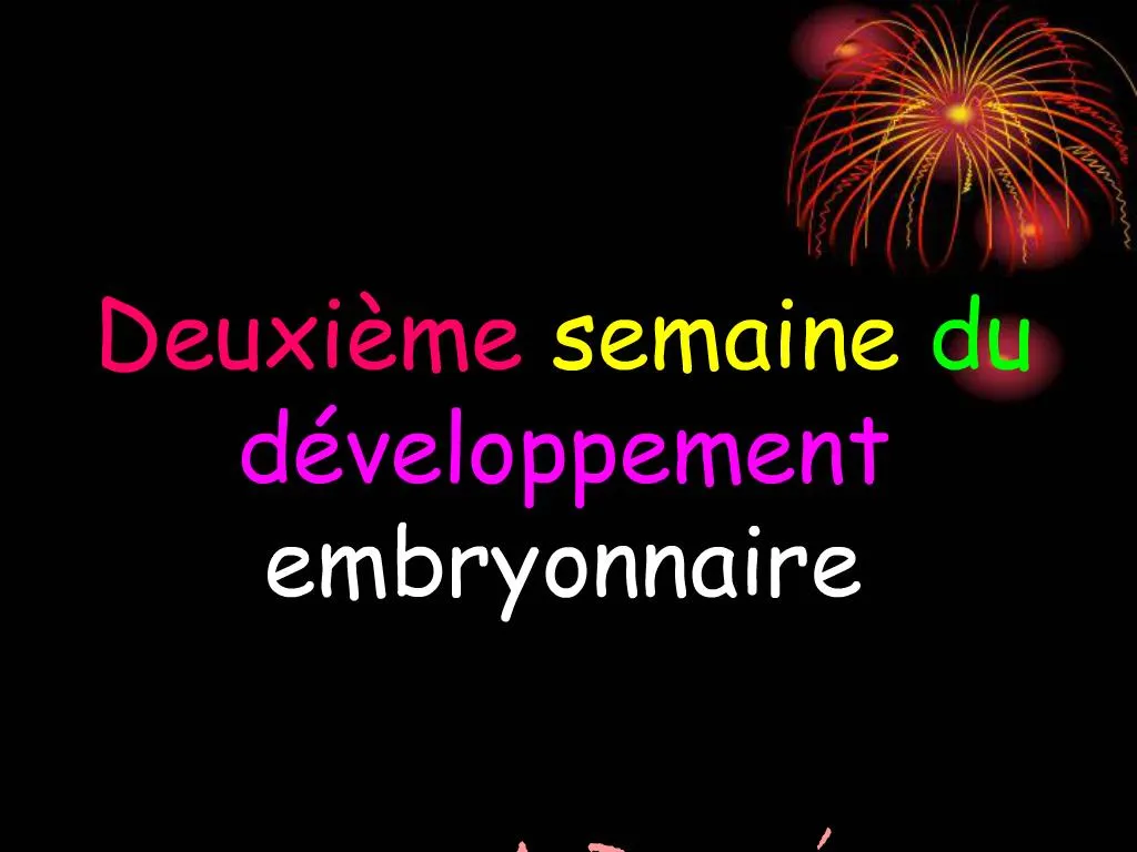Ppt Deuxi Me Semaine Du D Veloppement Embryonnaire Powerpoint Presentation Id1405626 