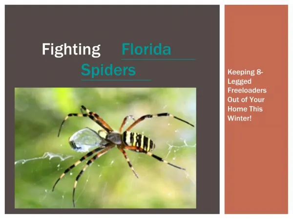 Keeping 8-legged Freeloaders Out of Your Home This Winter!