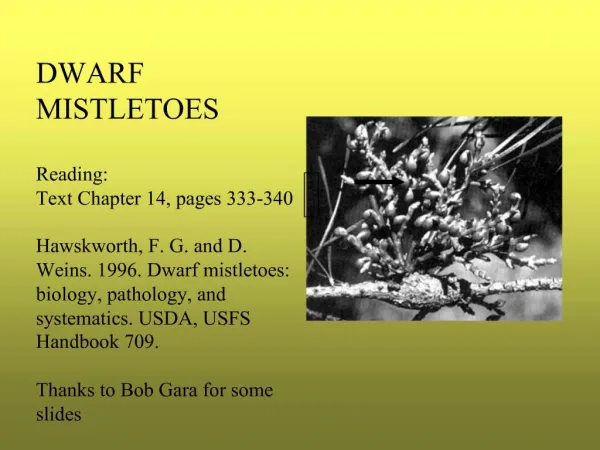 DWARF MISTLETOES Reading: Text Chapter 14, pages 333-340 Hawskworth, F. G. and D. Weins. 1996. Dwarf mistletoes: b